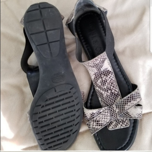 flats by the Flexx - Picture 4 of 4